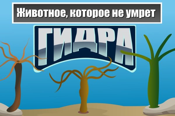 Официальная ссылка на kraken